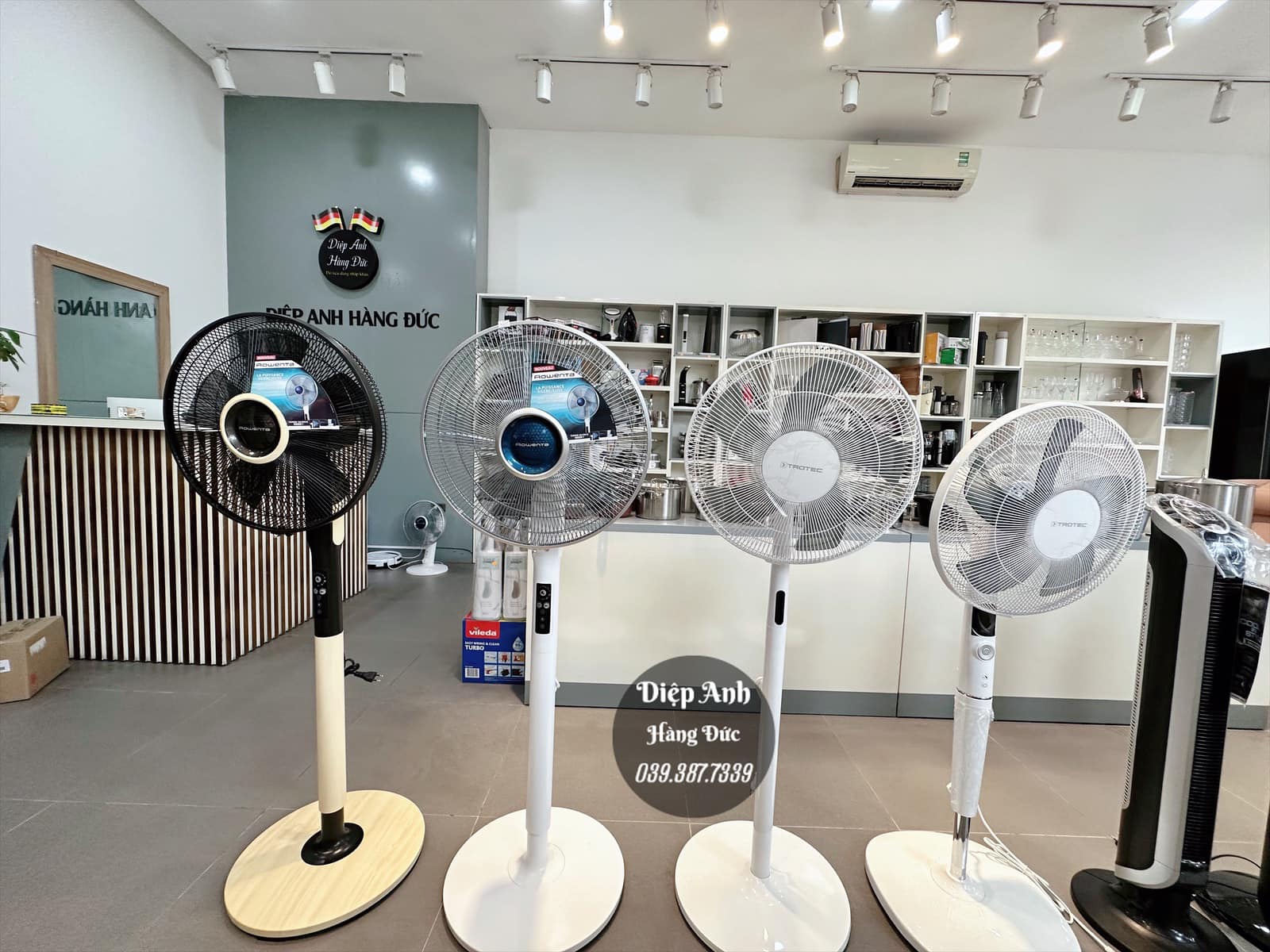 Top 5 Quạt cây nhập khẩu bán chạy của Diệp Anh - Hàng Đức